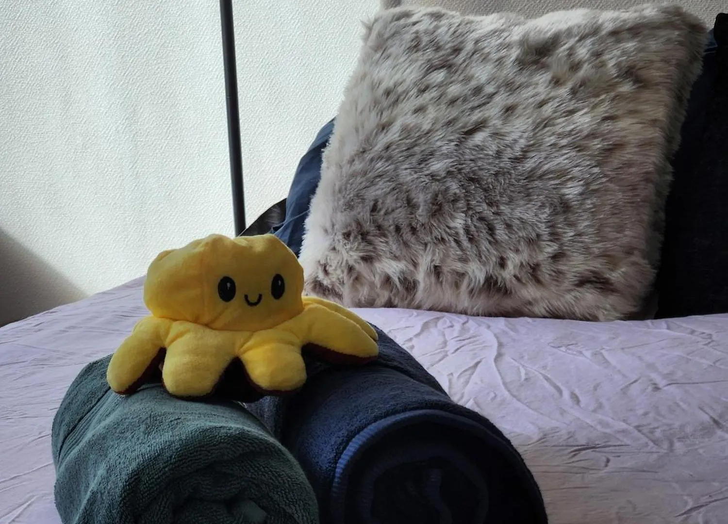 Apartament Appartement - Cosy - Hypercentre Tuluza Francja